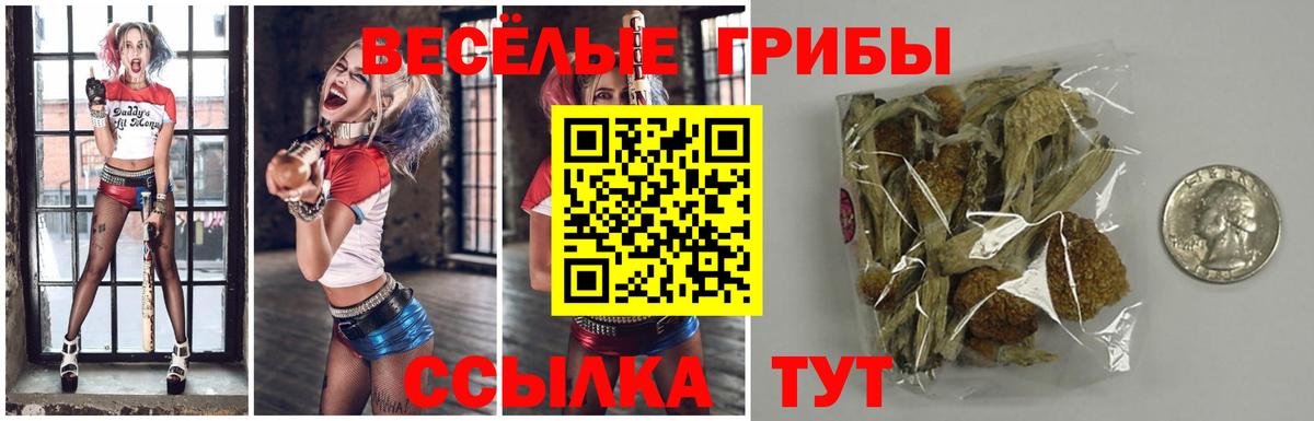 Галлюциногенные грибы Magic Shrooms Владимир